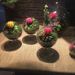 Meet your Posher, Vatche